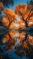 Autumn trees reflect in calm water during sunset in a serene natural landscape photo
