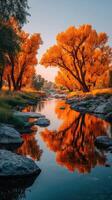 Vibrant autumn landscape with golden trees reflecting in calm water at sunset photo
