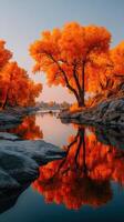Majestic autumn trees reflect in calm waters at sunset near rocky shore photo