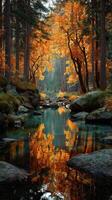 Vibrant autumn colors reflected in a serene stream surrounded by lush trees in a tranquil forest setting photo