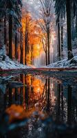 Captivating autumn forest with vibrant orange trees and a serene reflection in the water photo