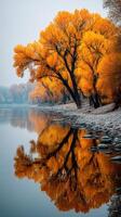 Vibrant autumn trees reflecting in a serene river during early morning light photo