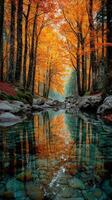 Vibrant autumn foliage reflecting in a tranquil river during a misty morning in a forest setting photo