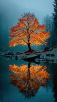 Majestic autumn tree with vibrant orange leaves reflected in calm water near a misty forest at dawn photo