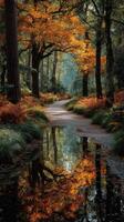 Serene autumn pathway reflecting vibrant orange foliage in a tranquil forest setting photo
