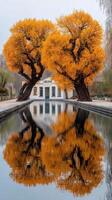Vibrant autumn trees reflect in a tranquil pond near a serene white building in a peaceful park setting photo