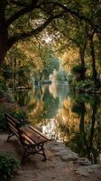 Serene riverside bench surrounded by lush greenery at sunset in a tranquil park setting photo