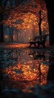 Autumn sunset in a peaceful park with vibrant foliage and still water reflections near the empty bench photo
