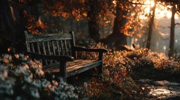 Serene wooden bench amidst blooming flowers in a tranquil forest at sunset photo