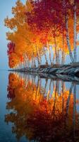 Vivid autumn colors reflected on calm water in a serene lakeside setting during the early morning hours photo