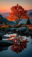 Vibrant autumn tree reflecting in calm water at sunset in mountainous landscape photo
