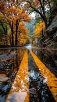 Scenic winding road reflecting autumn colors and vibrant foliage in the rain near a mountainous area photo