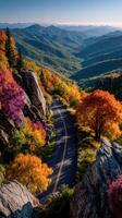 Vibrant autumn colors lining a winding road in the mountains during sunset photo