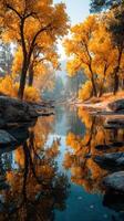Vibrant autumn landscape with golden trees reflecting in a serene stream at sunrise photo