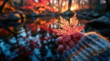 Vibrant autumn leaf held over a tranquil pond at sunset in a serene forest setting photo