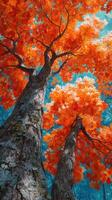 Bright autumn foliage creating a stunning contrast against the blue sky in a tranquil forest setting photo