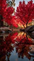 Vibrant red trees reflect in tranquil water during sunset at a serene location photo