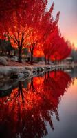Colorful autumn trees reflecting on serene lake at sunset in a tranquil park setting photo