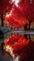 Vibrant autumn landscape with red trees reflecting in calm water at sunset photo