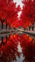 Vibrant autumn foliage reflecting in calm water at park during sunset in a serene outdoor location photo