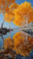 Vibrant autumn trees reflect on calm waters near serene lakeside setting in picturesque location photo
