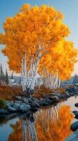 Vibrant autumn trees reflecting in a serene river at dawn near a picturesque settlement photo