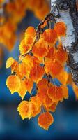 Bright orange autumn leaves capture the essence of seasonal change on a birch tree branch photo
