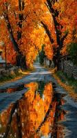Vibrant autumn colors along a serene country road reflecting in puddles photo