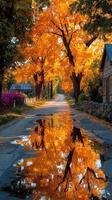 Vibrant autumn colors reflect on a tranquil country road after rain photo