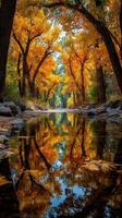 Golden autumn leaves reflect on a tranquil stream in a serene forest pathway photo