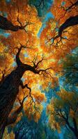 Captivating view of vibrant autumn trees with golden leaves under a clear blue sky in a serene forest setting photo