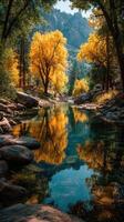 Autumn colors reflect in a serene mountain stream surrounded by vibrant trees photo