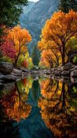 Vibrant autumn foliage reflecting in a serene mountain stream during sunrise photo