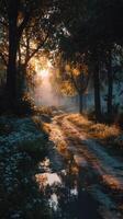 Beautiful sunrise illuminating a tranquil forest path surrounded by vibrant trees and blooming flowers photo