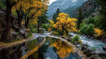 Scenic autumn landscape with winding road and colorful trees near river in the mountains during rainy weather photo