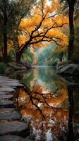 Vibrant autumn colors reflected in a serene park pond surrounded by trees and boulders photo