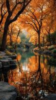 Autumn colors reflected on the calm water under the bridge in a serene city park during golden hour photo