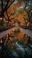 Golden autumn light reflects on tranquil water in a park at dusk photo