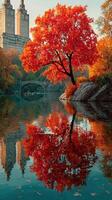 Vibrant autumn colors reflect in the peaceful waters of the park near historical buildings in the heart of the city photo