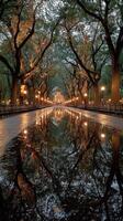 Reflective night view of a serene park pathway lined with trees and glowing lamps after a rain shower photo