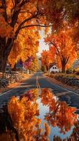 Vibrant autumn landscape with reflections on a quiet country road lined with orange trees photo
