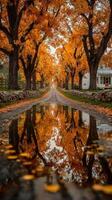 Autumn scenery along a tree-lined dirt road reflecting vibrant orange leaves at twilight photo