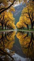 Autumn trees lining a reflective path in a serene landscape surrounded by mountains photo