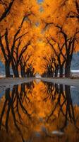 Fall colors reflect in calm water along a tree-lined path in a tranquil rural setting photo