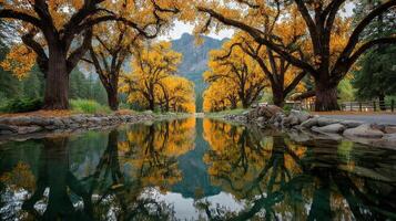 Golden autumn trees reflect in a tranquil stream at a serene park during a clear fall afternoon photo