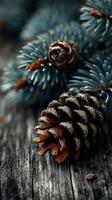 Intricate details of pine cones and branches displayed on rustic wood surface in natural setting photo