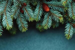 Close-up view of evergreen pine branches adorned with pine cones against a contrasting background photo