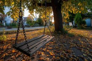 Sunset casting warm light on a swing under a tree in autumn photo