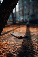 Swing hanging from a tree surrounded by autumn leaves on a sunny day photo