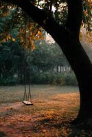 Swing hangs quietly under a tree in a serene garden at sunset photo